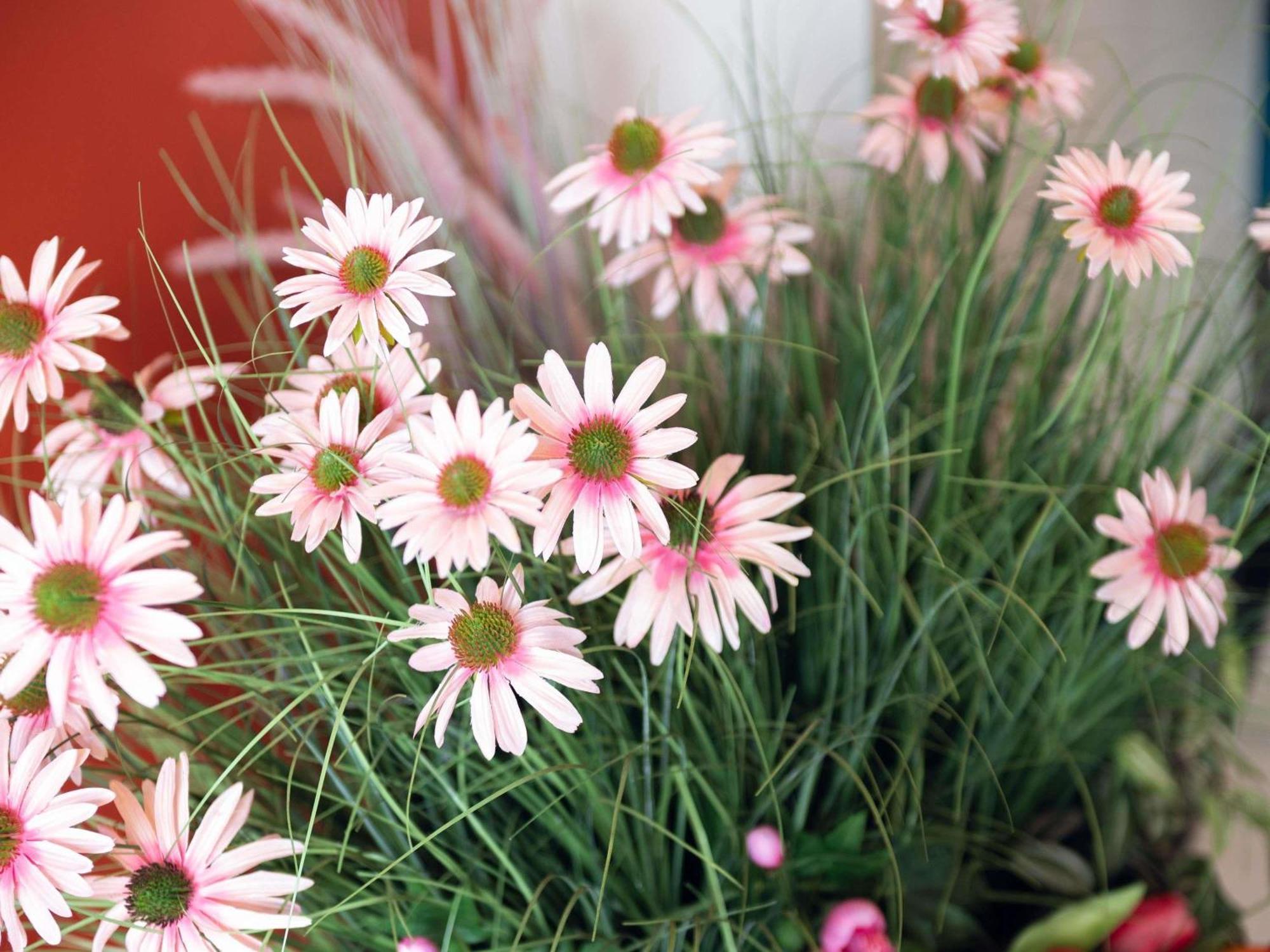 Hotel Ibis Styles Batignolles